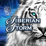 siberian-storm-sa